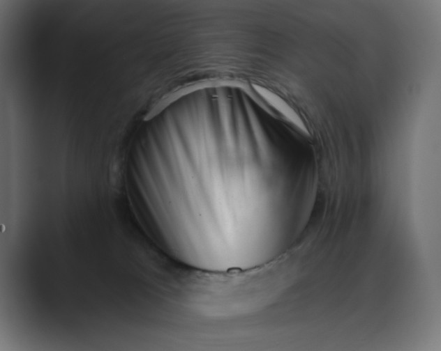 X0000089440037200706291433