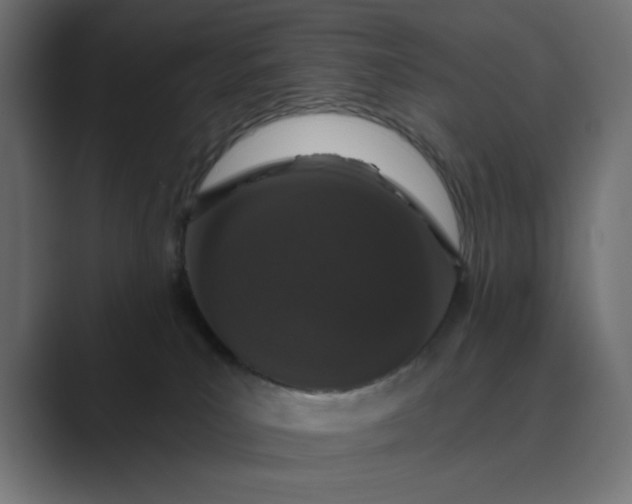 X0000089440039200706291433