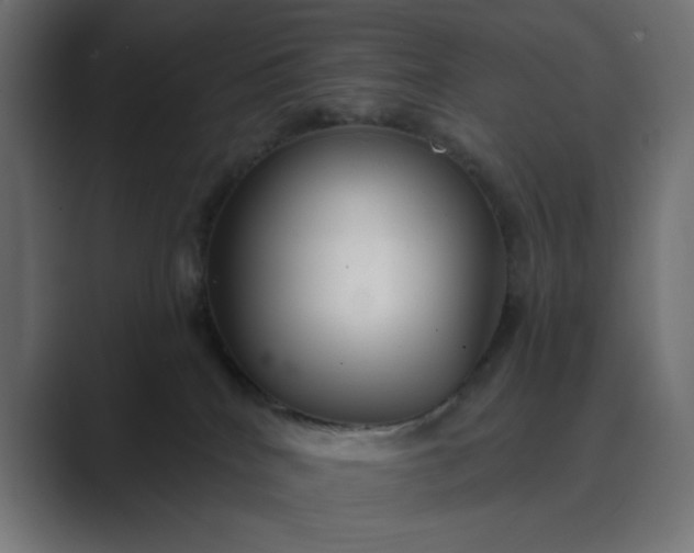 X0000089440040200706291433