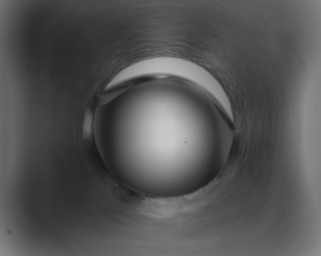 X0000089440041200706291433