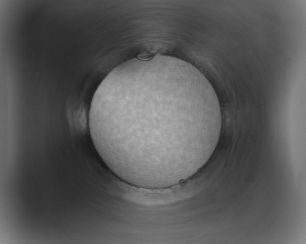 X0000089440042200706291433