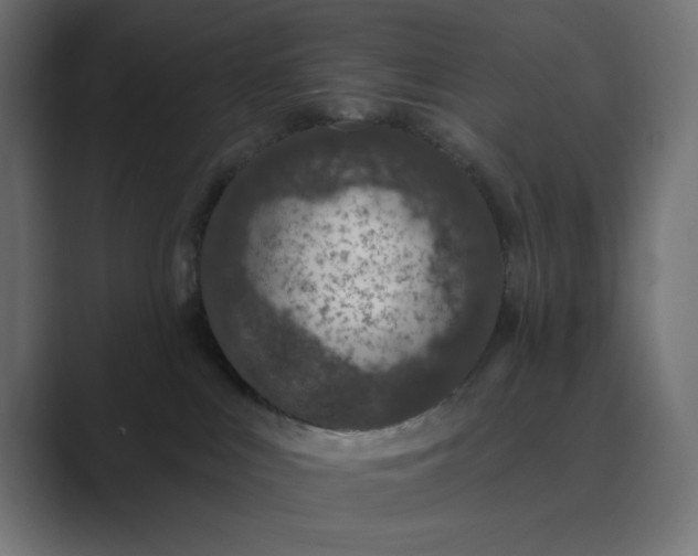 X0000089440043200706291433