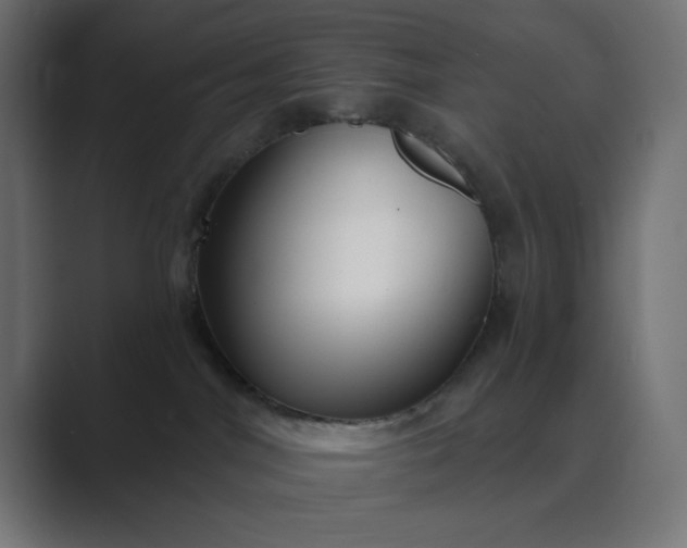 X0000089440044200706291433