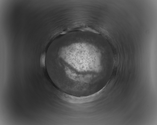 X0000089440047200706291433