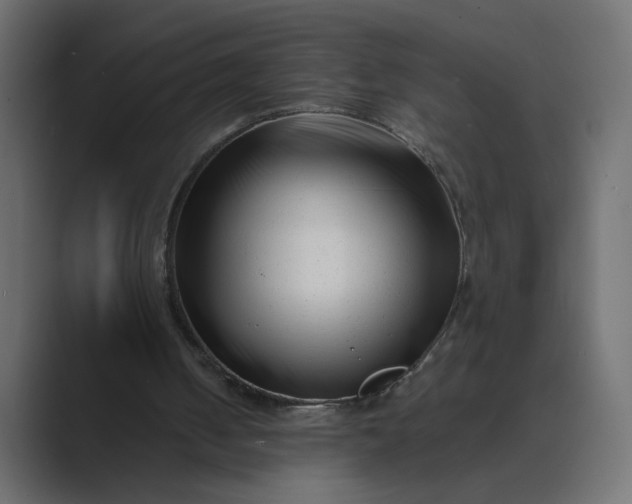 X0000089440050200706291432