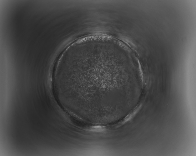 X0000089440053200706291432