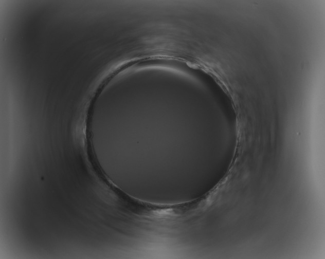 X0000089440054200706291432