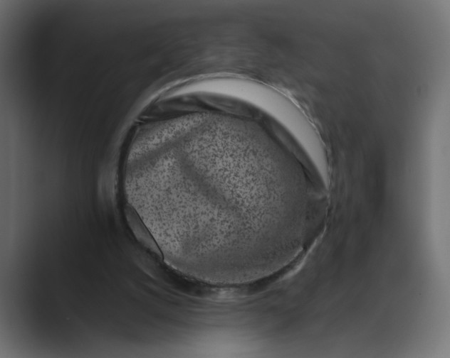 X0000089440056200706291432