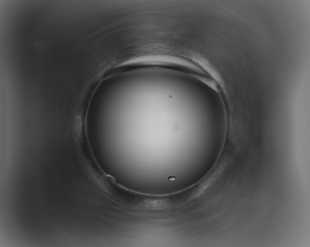 X0000089440057200706291432