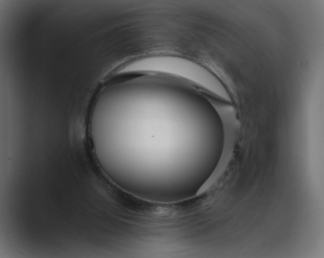 X0000089440060200706291432