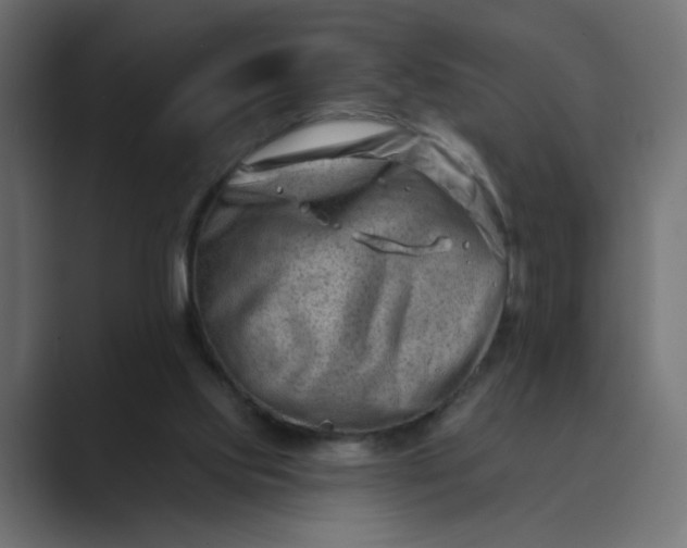 X0000089440061200706291432