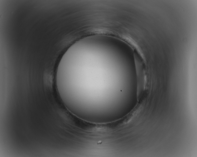 X0000089440063200706291432