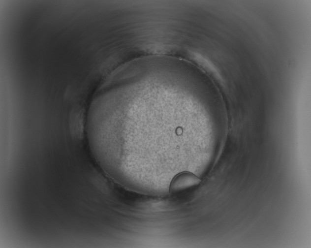 X0000089440065200706291432