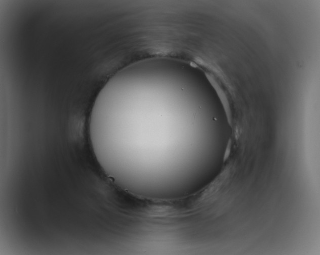 X0000089440066200706291433