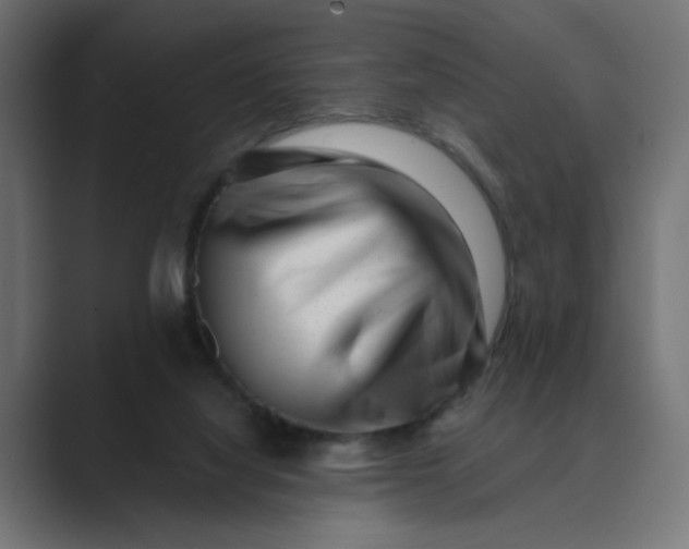 X0000089440068200706291433