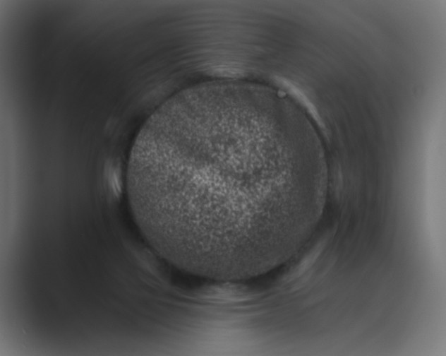 X0000089440069200706291433