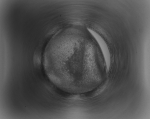 X0000089440072200706291433