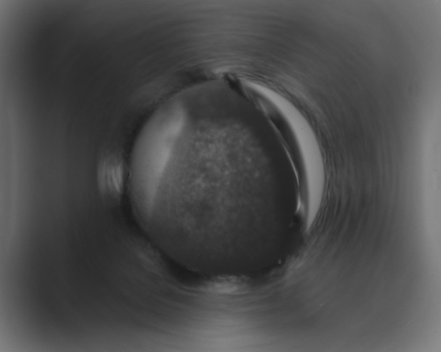 X0000089440076200706291433