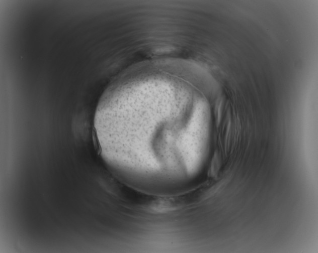 X0000089440080200706291433