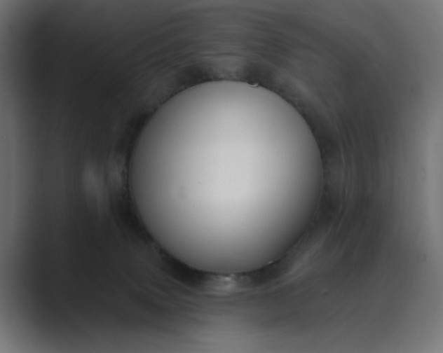 X0000089440083200706291433