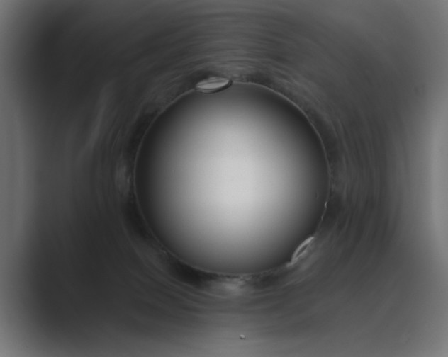 X0000089440086200706291433