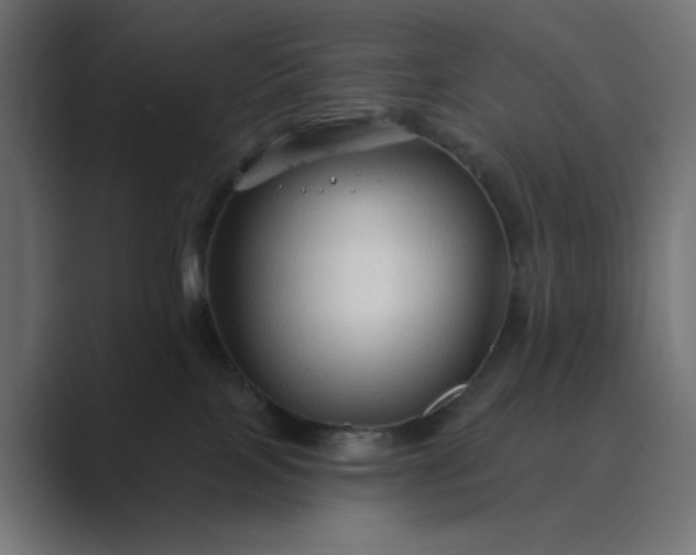 X0000089440089200706291433