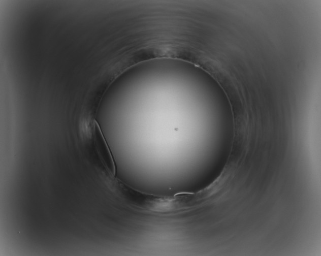 X0000089440090200706291433