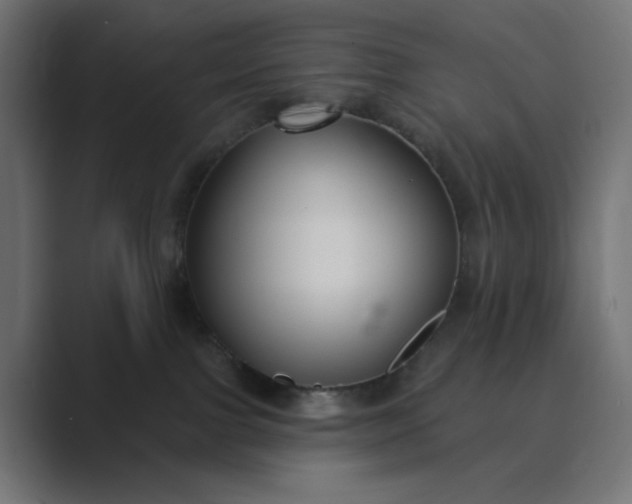 X0000089440091200706291433