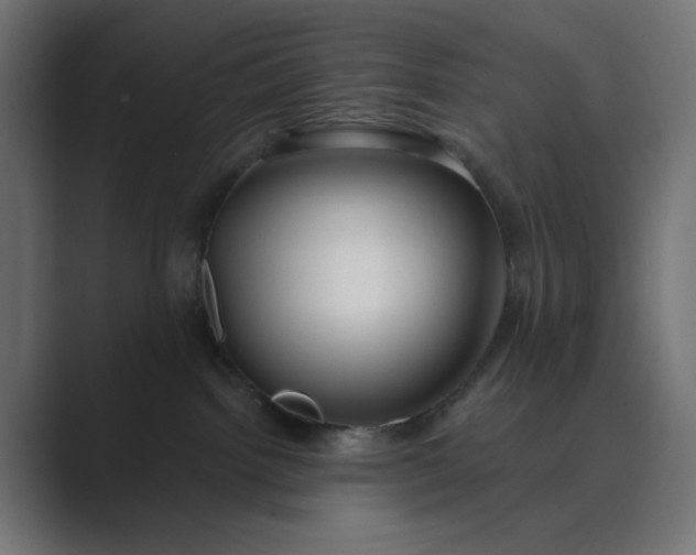 X0000089440092200706291433