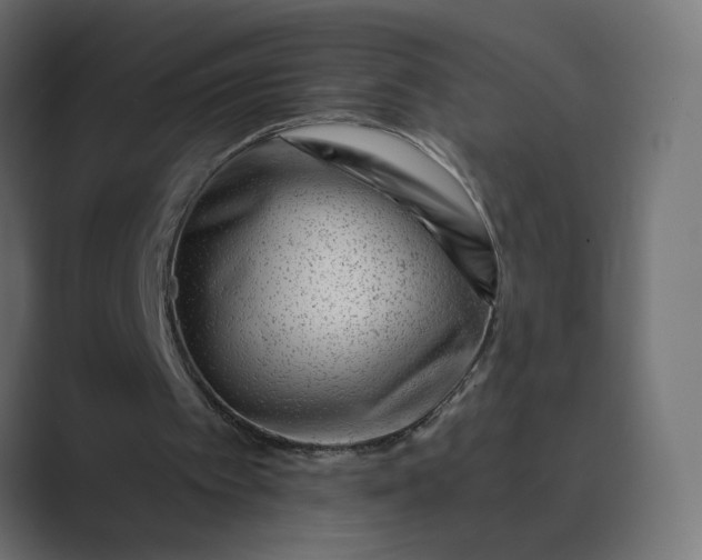 X0000089440097200706291432