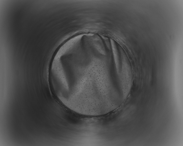 X0000089440100200706291432