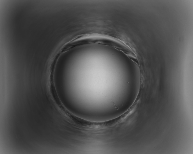 X0000089440101200706291432