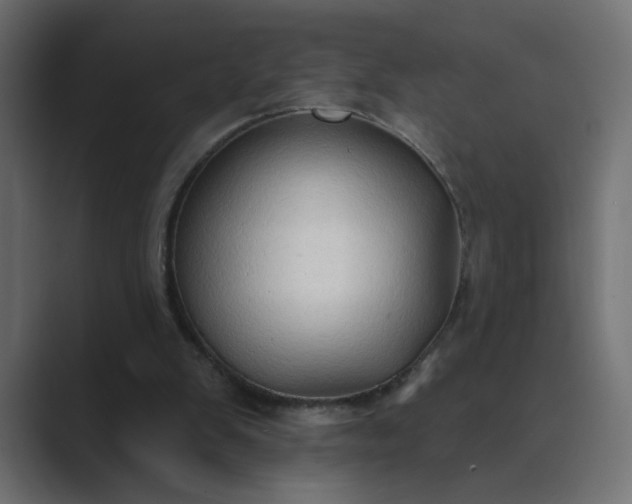 X0000089440103200706291432