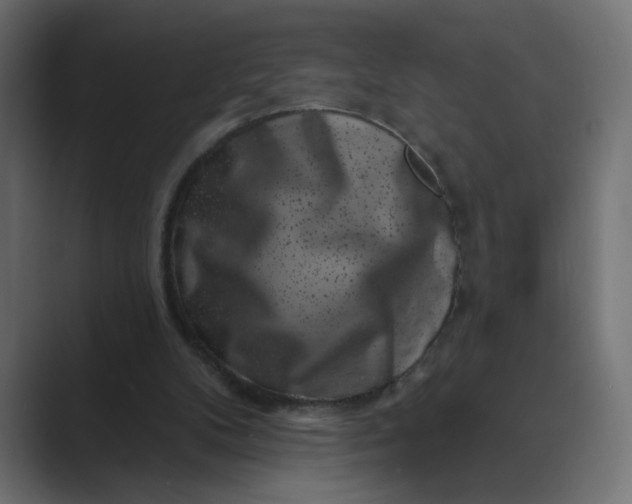 X0000089440104200706291432