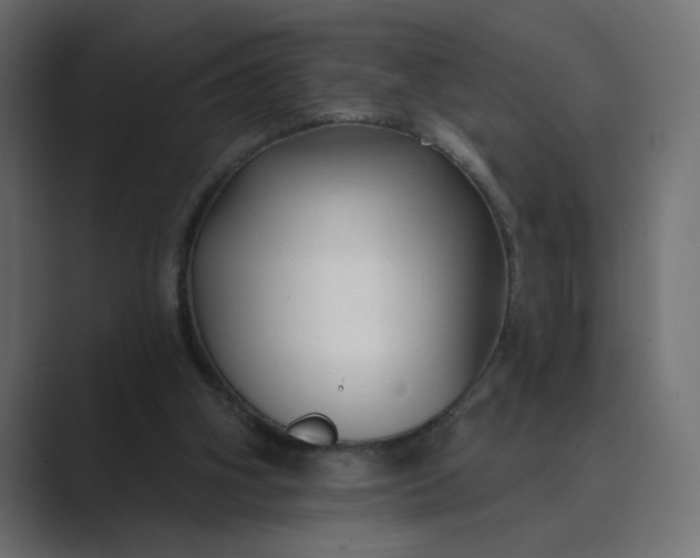 X0000089440106200706291432