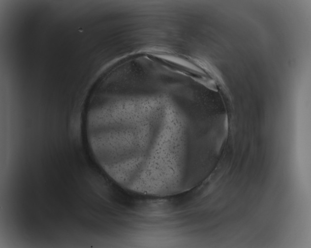 X0000089440108200706291432