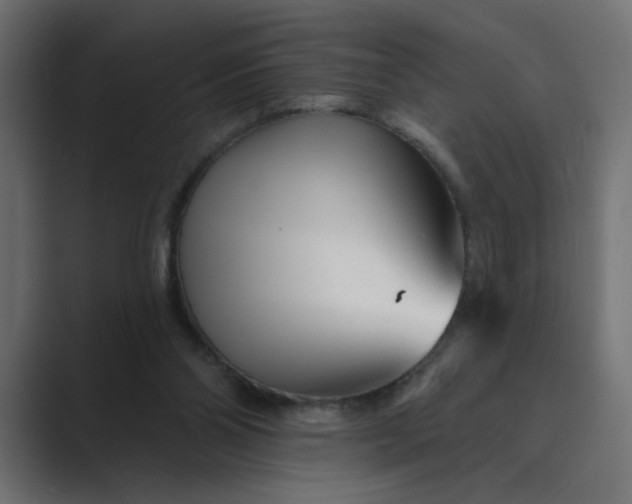 X0000089440110200706291432