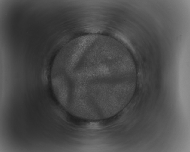 X0000089440114200706291432