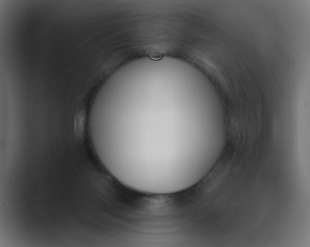 X0000089440118200706291432