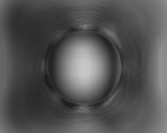 X0000089440121200706291432