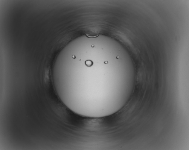 X0000089440122200706291432