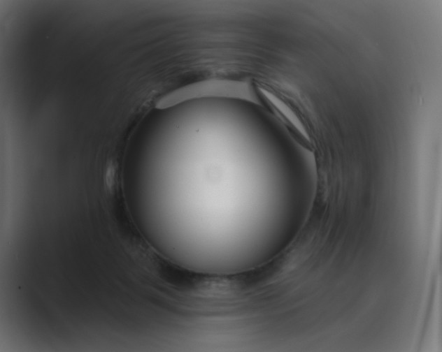 X0000089440123200706291432