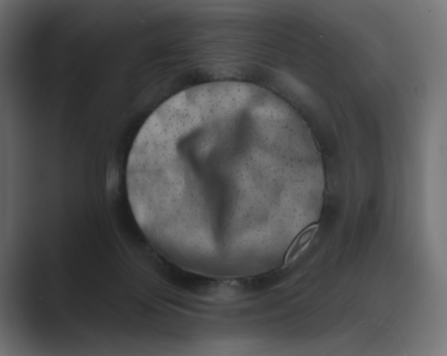 X0000089440124200706291432