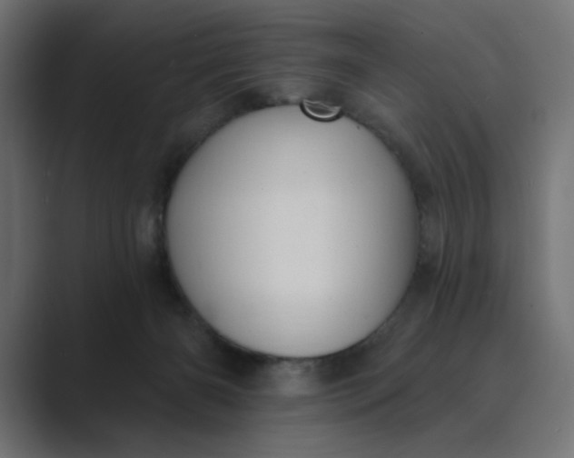 X0000089440126200706291432