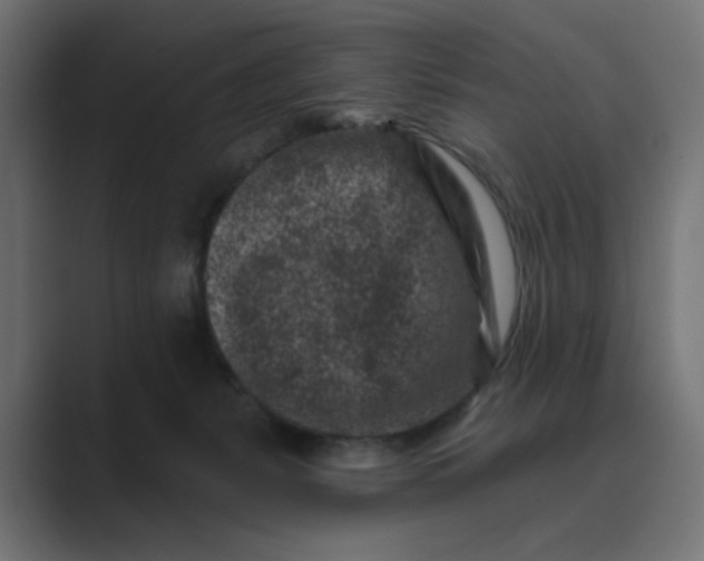 X0000089440127200706291432