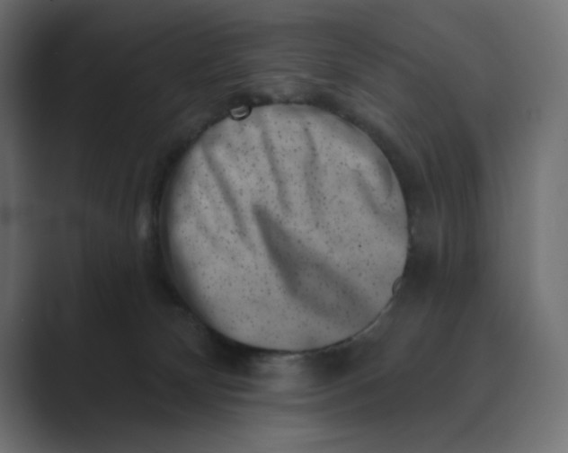 X0000089440132200706291432