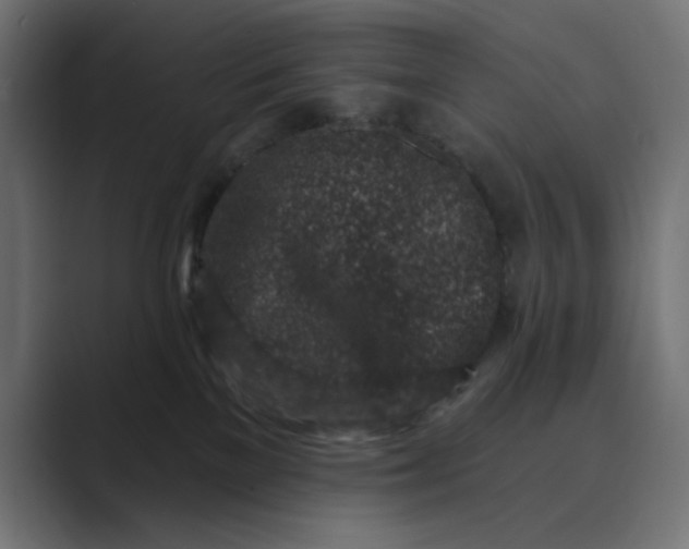 X0000089440137200706291432