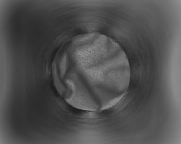 X0000089440140200706291432