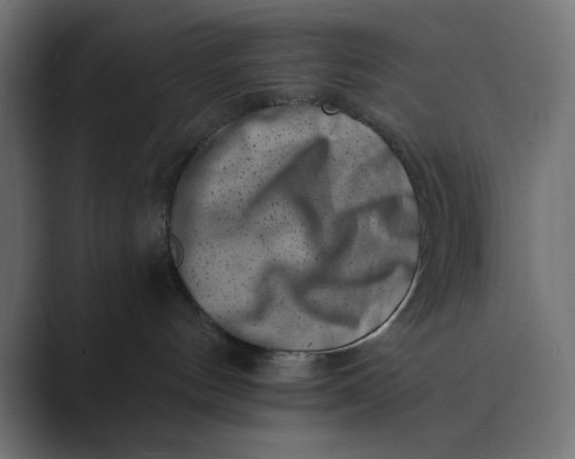 X0000089440144200706291432