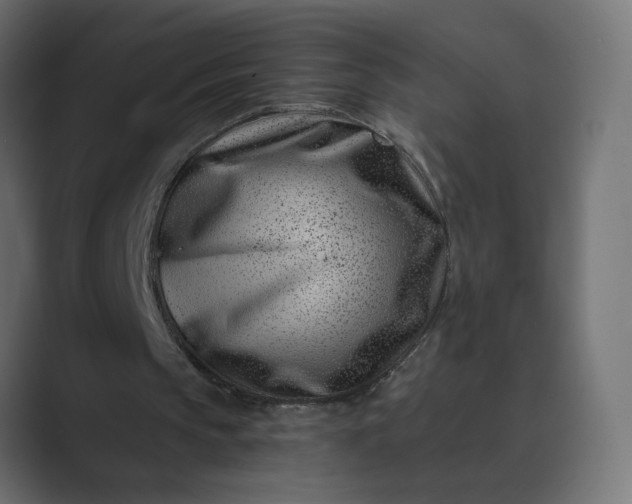 X0000089440145200706291431